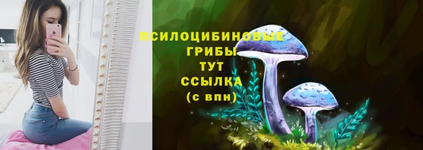 гидропоника Нея