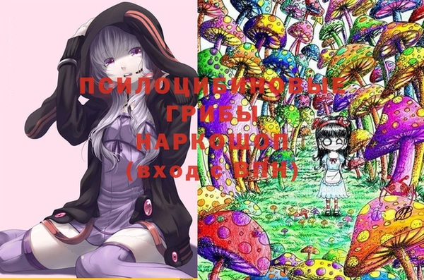 гидропоника Нея