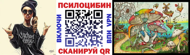Галлюциногенные грибы Psilocybe  Купить закладки  Гусев 